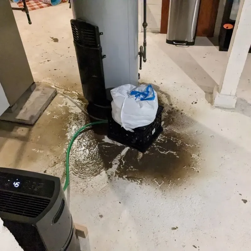 Sewage Backup Cleanup Service in Florence, CO